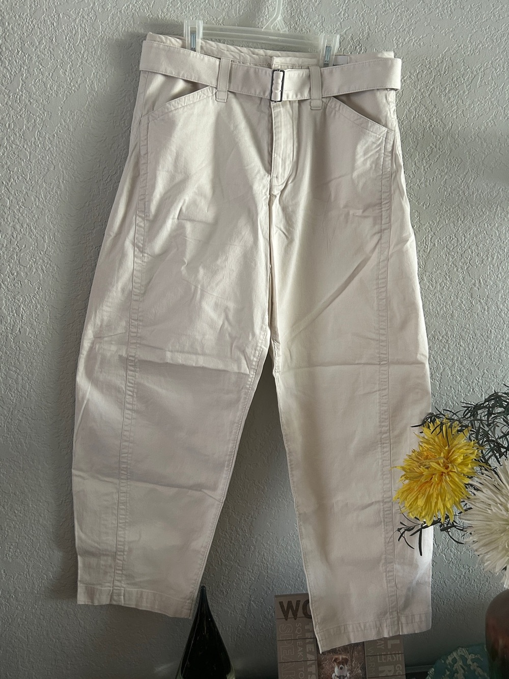 Abercrombie & Fitch Cream Belted Chinos Sz 29 L New with Tags!